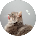 Betsabé Aucapiña profile picture